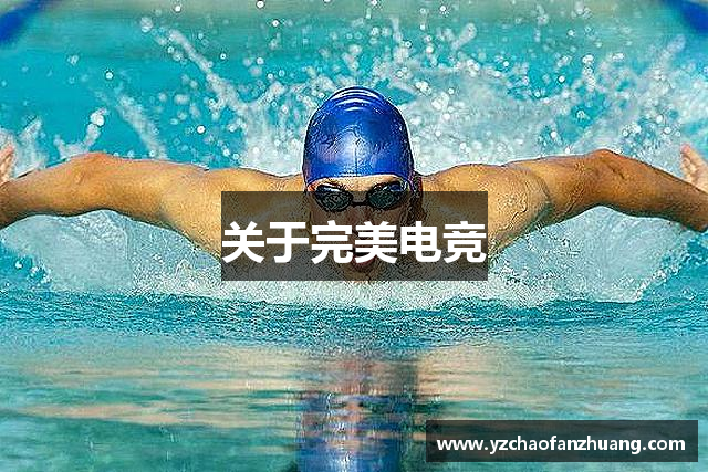 关于完美电竞